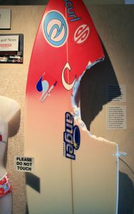 Bethany Hamilton's Surfboard