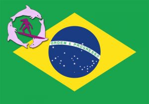 Brazilian Flag with Surfer Girls Logo