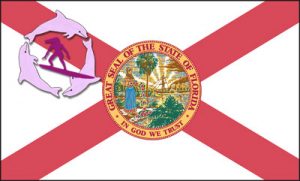 florida state flag - Florida Surfer Girls